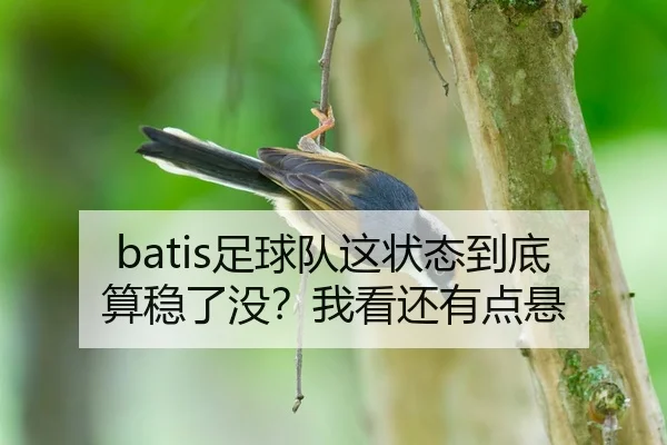 batis足球队这状态到底算稳了没？我看还有点悬